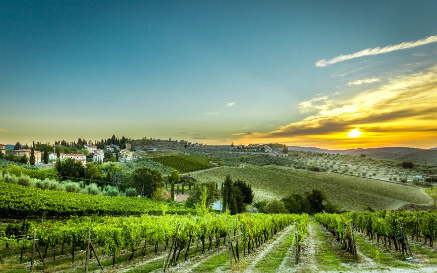 Čarobna  Toskana i putevi vina